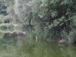 IMG_0571.jpg
