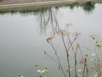 IMG_0578.jpg