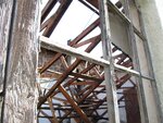 IMG_0597.jpg