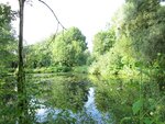 IMG_0603.jpg