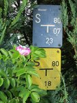 IMG_0035.jpg