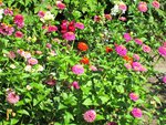 IMG_0706.jpg
