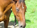 IMG_0721.jpg
