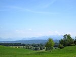 IMG_0727.jpg
