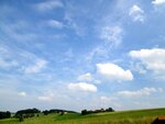 IMG_0736.jpg