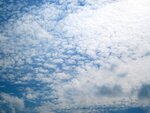 IMG_0746.jpg