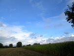 IMG_0750.jpg