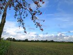 IMG_0754.jpg
