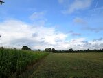 IMG_0756.jpg