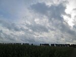 IMG_0760.jpg