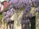Fotos seit Anfang 2009 139.jpg