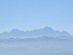 IMG_0914.jpg