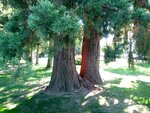 IMG_0898.jpg