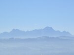 IMG_0914.jpg