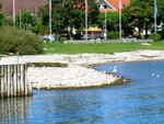 IMG_0966.jpg