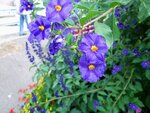 IMG_0837.jpg