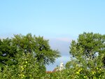 IMG_0970.jpg