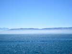 IMG_0931.jpg