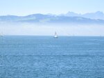 IMG_0933.jpg
