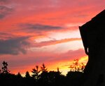 IMG_1040.jpg