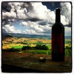 Wein vor Landschaft mit Wolken.jpg