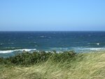 IMG_0190.jpg