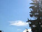 IMG_1158.jpg