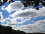 IMG_1145.jpg