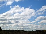 IMG_1148.jpg