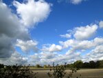 IMG_1197.jpg