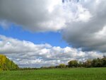 IMG_1211.jpg