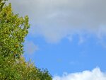 IMG_1223.jpg