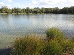 IMG_1243.jpg