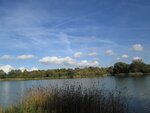 IMG_1240.jpg
