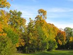 IMG_1251.jpg