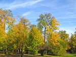 IMG_1252.jpg