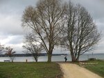 IMG_0016.jpg