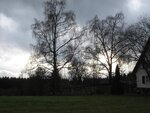 IMG_0586.jpg