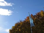 IMG_1253.jpg