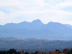 IMG_1260.jpg