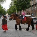 Stolze Reiterin.jpg