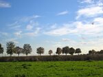 IMG_1268.jpg