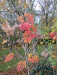 IMG_0200.jpg
