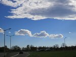 IMG_0204.jpg