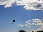 IMG_0207.jpg
