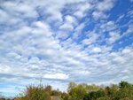 IMG_1300.jpg