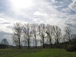 IMG_1305.jpg