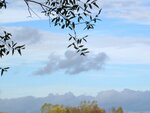 IMG_1308.jpg