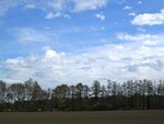 IMG_1303.jpg