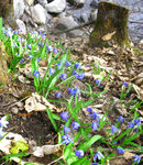 IMG_9264 Kopie.jpg